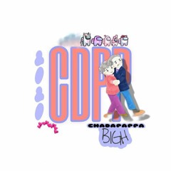 BIGH -(CDPP) CHADAPAPPA