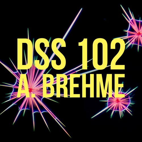 DSS 102 | a. brehme