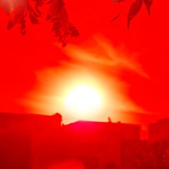 Fata Morgana 42C