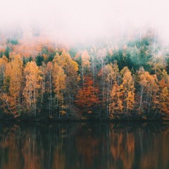 If you Forget Me by Pablo Neruda