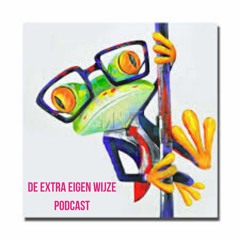 #1 De Extra Eigen Wijze Podcast:: Nabespreking na podcast #4 met Alvar Van Rijn over weerstand.