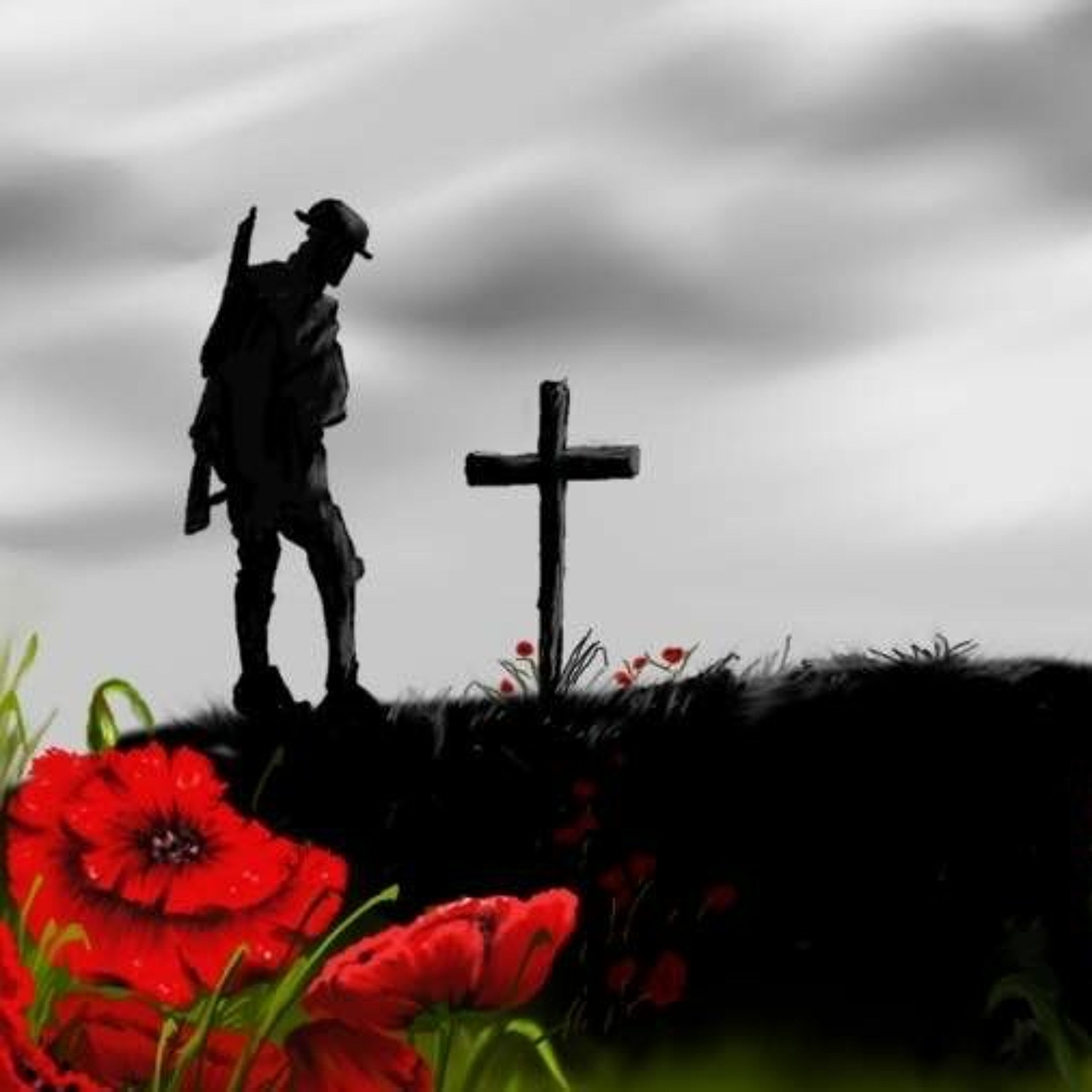 The Real Story Of Resistance To The Fake Vaccine On Remembrance Day episode artwork