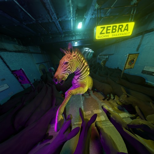 Suchme, Shaxmadeit - Zebra