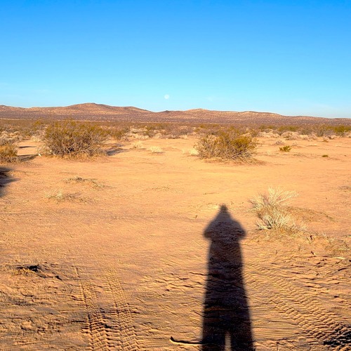 Kepi Recorded @ Moontribe November 2021