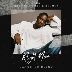 Akon x Hoax (BE), Coco & Doumea - Right Now (Na Na Na) (GANGSTER Blend)