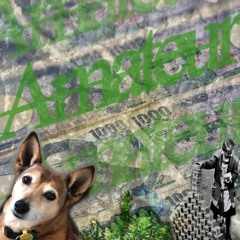 Amateur [Prod. Jason Rich]