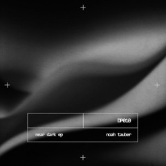 [PREMIERE] | Noah Tauber - 262626  [DP010]