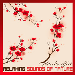 Soothing Sleep Sound