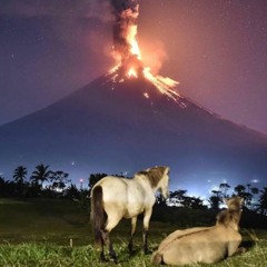 😂😂😂😂😂😂😂😂😂😂😂😂😂😂😂😂😂😂😂😂😂😂😂😂😂😂😂😂😂😂😂😂😂😂😂😂😂😂😂😂😂😂😂😂😂😂