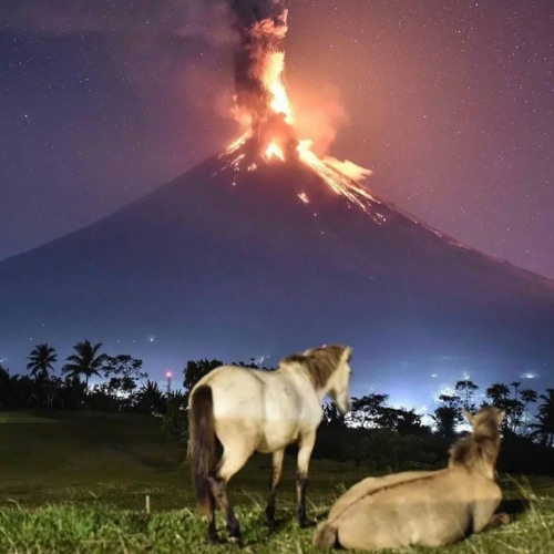 😂😂😂😂😂😂😂😂😂😂😂😂😂😂😂😂😂😂😂😂😂😂😂😂😂😂😂😂😂😂😂😂😂😂😂😂😂😂😂😂😂😂😂😂😂😂