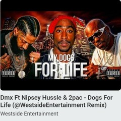 Dogs for Life  Remix DMx, Pac and Nip.mp3
