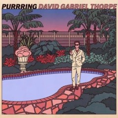 David Gabriel Thorpe - Summer Rain