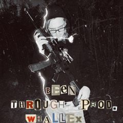 been through *slowed*(prod. whallex)