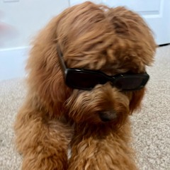 "?" (prod. by @snackingbadger)