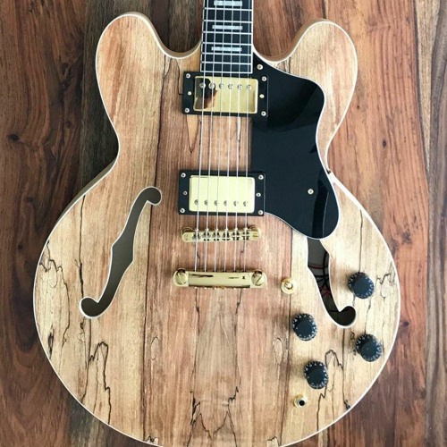 Stream ES 335 hollow body DIY kit comparison by Coachguitar | Listen online  for free on SoundCloud