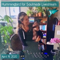 Hummingbird For Soulmade Livestream -  Apr 19 2020