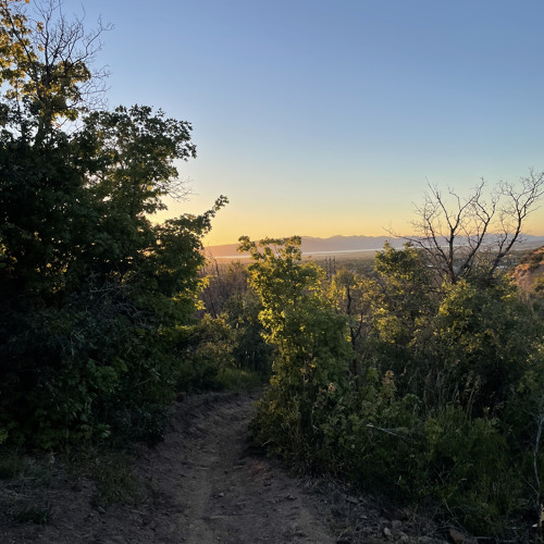 Boards of Canada - Constants Are Changing( Slowed with reverb)