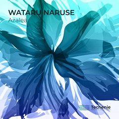 Wataru Naruse - Azalea (Oldschool Dubtechno .Producer Remix)