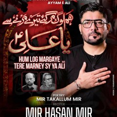 Hum Log Margaye _ Mir Hasan Mir New Nohay 2024 _ 21 Ramzan Noha 2024 _ Mola Ali Noha 2024.mp3