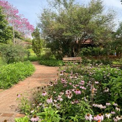 24.07.2022 - DOMINGO - CAP. V - BEM AVENTURADOS OS AFLITOS - Causas Atuais das Aflições