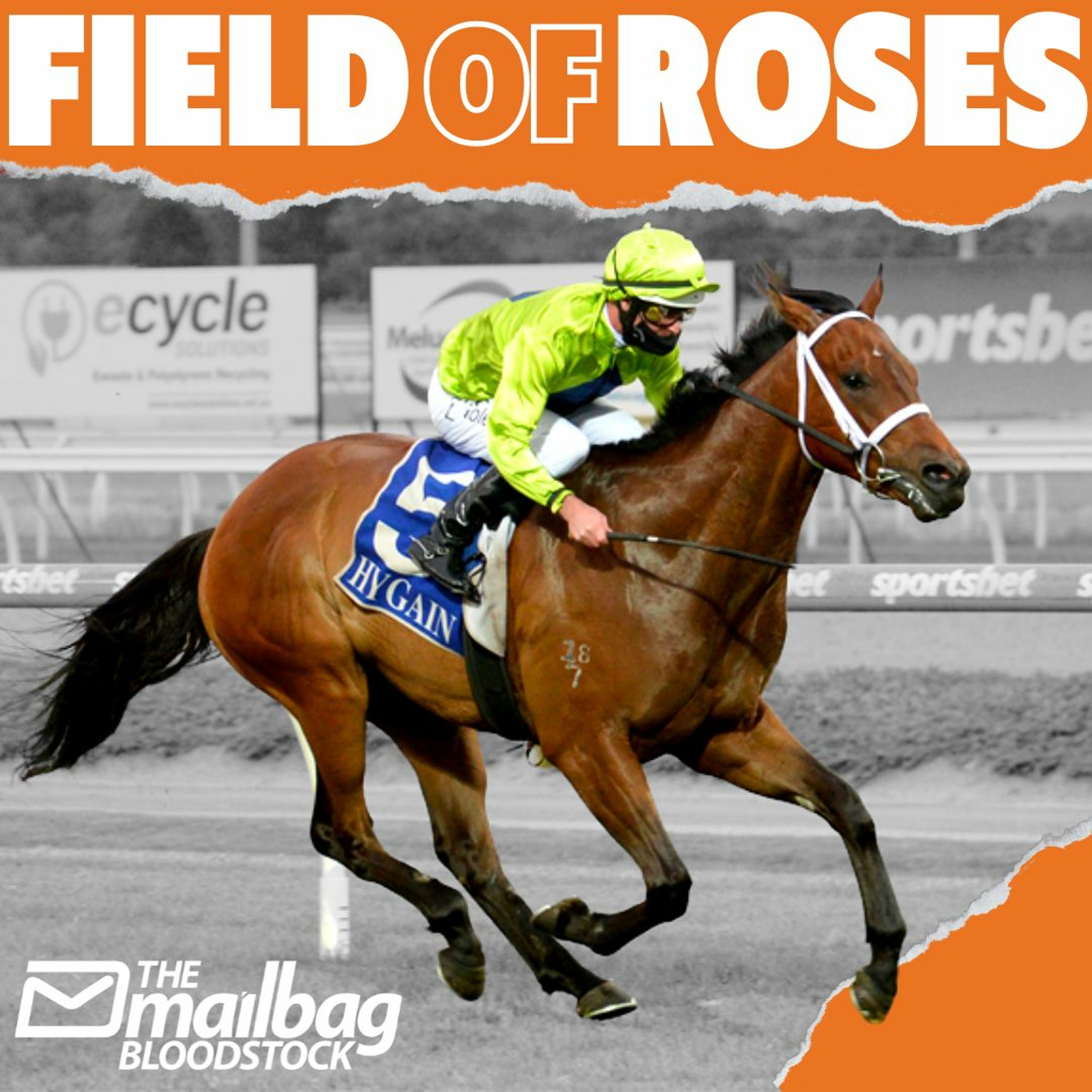 The Mailbag Bloodstock - New Purchase - Field Of Roses episode artwork