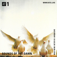 Sounds of the Dawn NTS Radio February 1st 2020