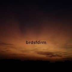 brdsfdrm