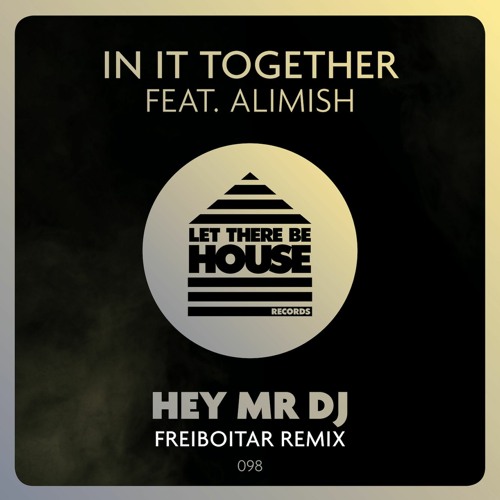 In It Together Feat Alimish - Hey Mr DJ (Freiboitar Remix)