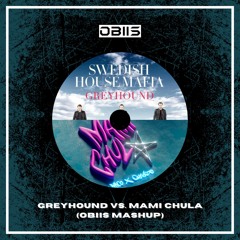 Swedish House Mafia vs. Quevedo, Jhayco - Greyhound vs. Mami Chula (Obiis Mashup)