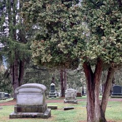 Thoughts of Death & Time