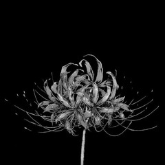 Restless - untitled rock band(perfect loop)