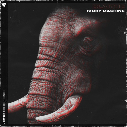 IVORY MACHINE (Radio Edit)