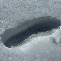 Shitbagged ‘Em (Feat. Luhcollinz & JD)