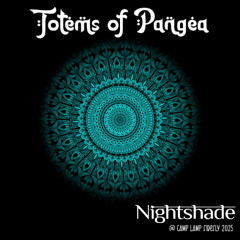 Totems of Pangea- Nightshade @ Firefly 2025 (DNB Mix)