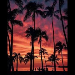 Việt Deep  Tửng Tửng  Deep House   Dj Willzi