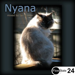 Ian Cowan - Nyana [Progressive House] [FS 24]