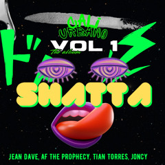 SHATTA (Prod. By INZOX DJ x Bossavescomohe & LoboKush)