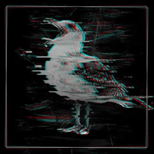 Hochweiss - Moin Moin Records Podcast 098 - Vinshi (youtube)