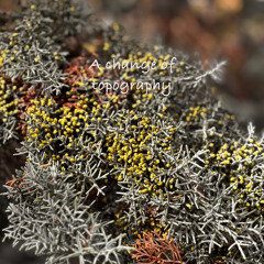 A change of topography