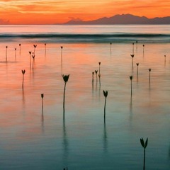 Ambient #145