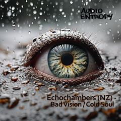 Audio Entropy - AEN041: Echochambers - Bad Vision / Cold Soul