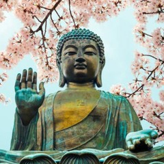 Meditación Del Buda