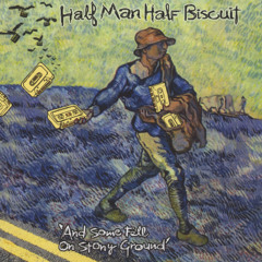 Hair Like Brian May Blues