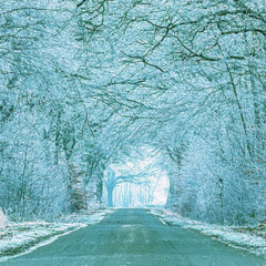 Swang (Prod. Goth Helma)