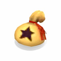 the bag