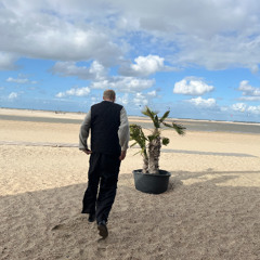 live @ Edd Ed n Eddy Regensburg 14.11.2025