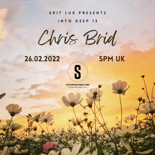 Into Deep (EP #013) Guest Mix by Chris Brid