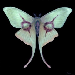 ilovebugs prod. ilovedoomscrolling