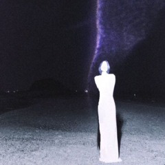 mylancore flip things you don't mean Slowed SHOVGEN, DIGITAL DISSIDENTS - zzzerx