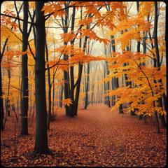 I Miss The Autumn